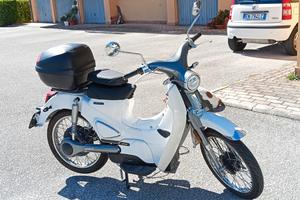 Motron Cubertino - 2024