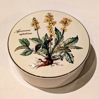 Villeroy & Boch Botanica scatola grande porcellana