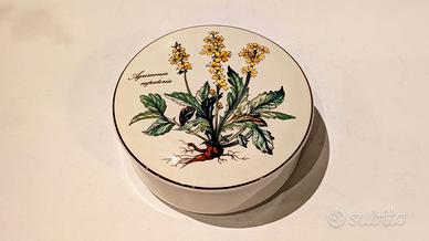 Villeroy & Boch Botanica scatola grande porcellana