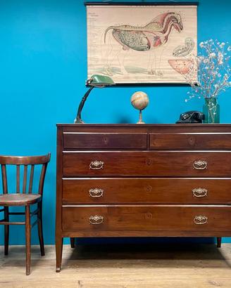 COMO' IN NOCE MASSICCIO FINE 700 FRIULI CARNIA