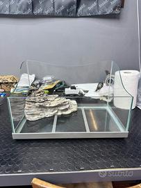 Tartarughiera per tartarughine