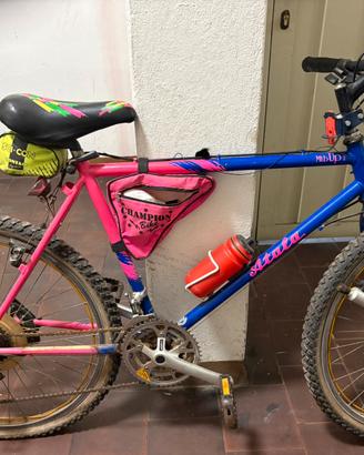 Bicicletta