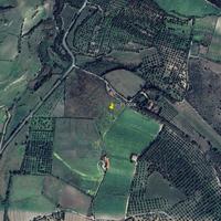 Terreno agricolo con capannone