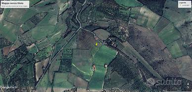 Terreno agricolo con capannone