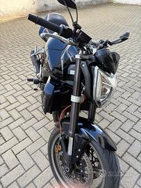 FZ1 1000