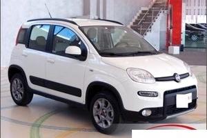 Fiat Panda 4x4"Finanziabile Senza Busta Paga"