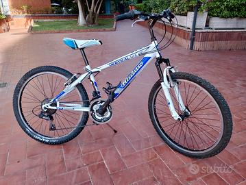 bicicletta globus bianca e blu