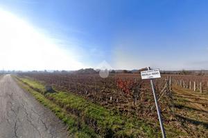 TER. AGRICOLO A CASSINE