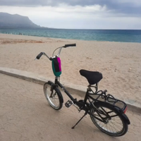 La mia Bici Pieghevole nera