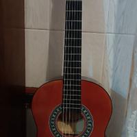 Chitarra acustica maxine