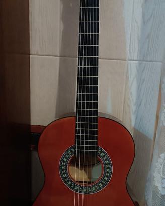Chitarra acustica maxine