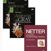 Netter Gray. L'anatomia: Anatomia del Gray-Atlante