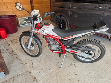 beta alp 200