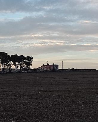 Terreno ed edifici rurali