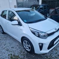 Kia Picanto 1.0 5 porte Anno 2019