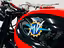 Immagine 5