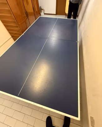 Tavolo da Ping Pong