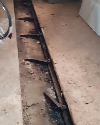 trasporto per letame