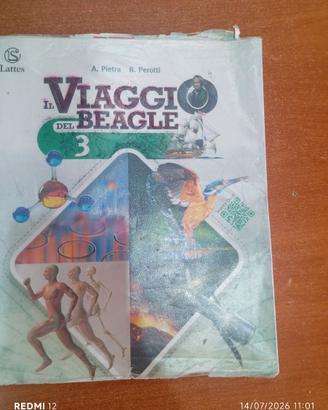 Viaggio del beagle