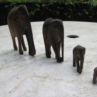 Vecchi elefanti in legno
