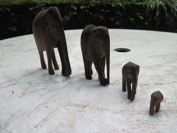 Vecchi elefanti in legno