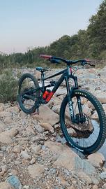 MTB STATUS 160 specialized