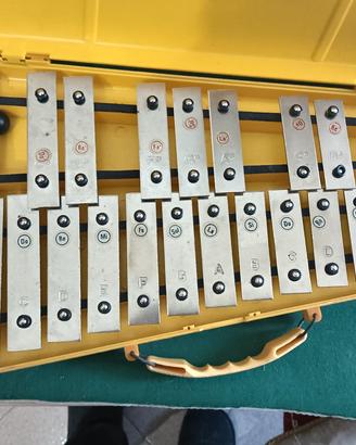 metallofono xilofono Glockenspiel 