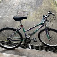 Bicicletta da ragazzo 24