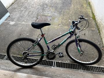 Bicicletta da ragazzo 24
