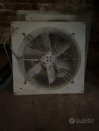 Ventilatori allevamento