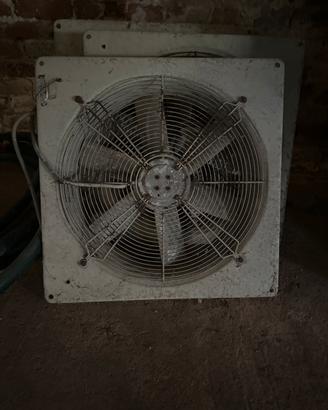 Ventilatori allevamento
