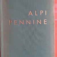 Guide CAI Serie da rifugio a rifugio  Alpi Pennine