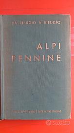 Guide CAI Serie da rifugio a rifugio  Alpi Pennine
