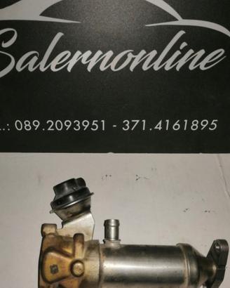 Scambiatore acqua Smart diesel 2010