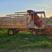 Falciacarica DePietri