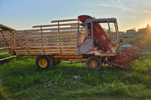 Falciacarica DePietri