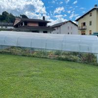 SERRA per ORTO - struttura ad arco, telo plastico
