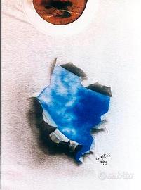 T-shirt aerografate