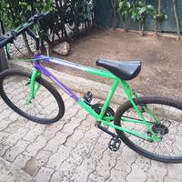 Bici da 26 pollici 