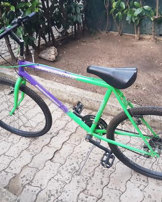Bici da 26 pollici 