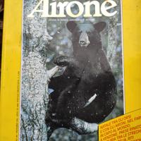 airone