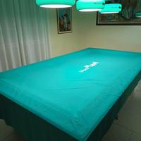 BILIARDO PROFESSIONALE