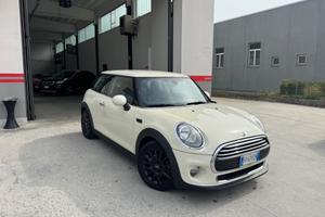Mini 1.5 One D Hype