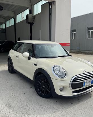 Mini 1.5 One D Hype