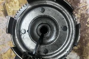 Rapporti vespa originali