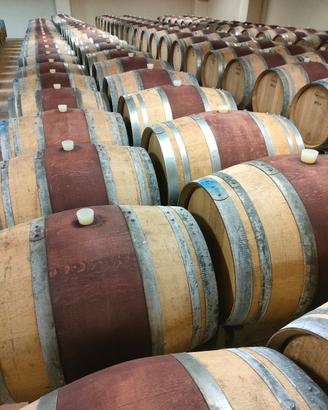Barriques botti di legno di rovere francese 