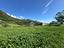Immagine 29