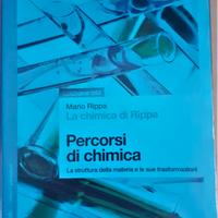 Percorsi di chimica rippa mario