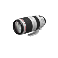 Canon EF 100-400mm f/4.5-5.6 L IS II USM