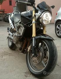 Honda hornet